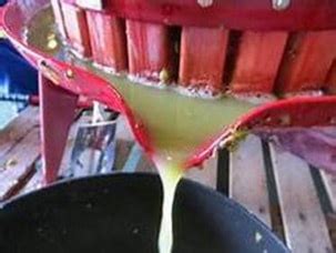 Proceso de desfangado de mosto de uva blanca