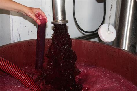 Proceso de trasiego de vino