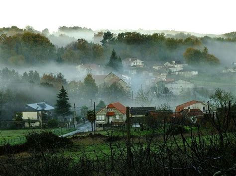 Paisaje gallego otoñal con niebla
