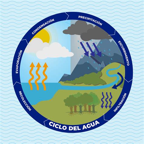 Ciclo del agua natural