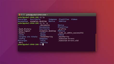 Terminal de Linux con comandos de eliminación de archivos