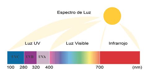Diagrama ilustrando la penetración de la luz UV en el agua