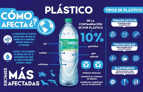 Infografía sobre el impacto ambiental de las botellas de plástico frente a los filtros de agua