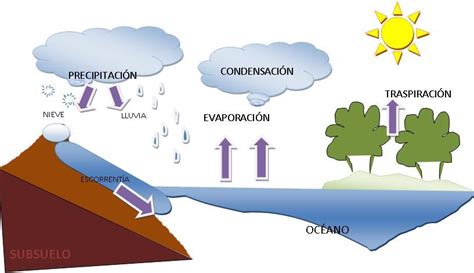 Esquema del ciclo del agua y puntos de infiltración