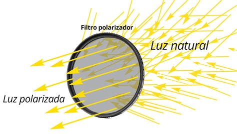 Detalle de un filtro polarizador circular mostrando su anillo giratorio.