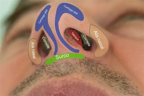 Diagrama mostrando cómo una banda nasal se ajusta a la nariz para crear un sello.