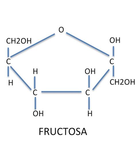 Ilustración de la estructura molecular de la fructosa y la glucosa
