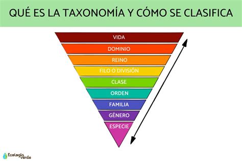 Ejemplo de meme de la categoría 
