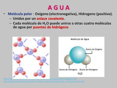 Análisis comparativo de la composición mineral del agua
