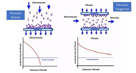Diagrama esquemático de la filtración de flujo tangencial