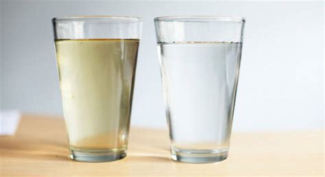 Comparativa visual de agua clara y agua turbia