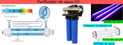 Esquema de un purificador de agua UV mostrando sus componentes principales