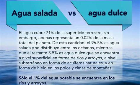 Comparativa visual: Piscina de agua dulce vs. Piscina de agua salada