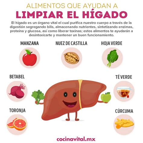 Ilustración de alimentos beneficiosos para el hígado