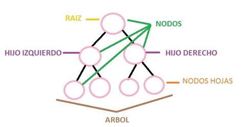Ilustración gráfica que identifica y diferencia los nodos Raíz, Rama y Hoja en una estructura arbórea.