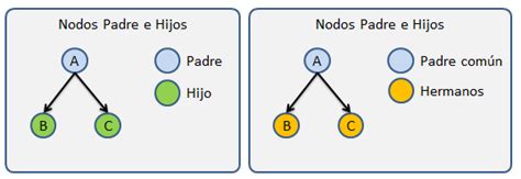 Representación gráfica que detalla las relaciones entre nodos Padre, Hijo y Hermanos dentro de un árbol.