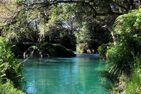 Paisaje fluvial con vegetación ribereña