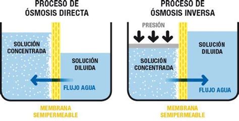 Esquema del proceso de ósmosis natural y ósmosis inversa