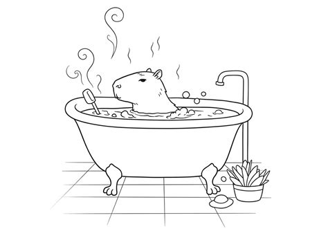 Canario tomando un baño en una bañera con agua