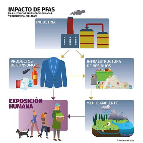 Infografía mostrando la presencia de PFAS en diferentes productos de consumo y su ruta hacia el agua