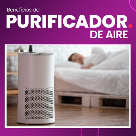 Infografía sobre los beneficios de un purificador de aire HEPA