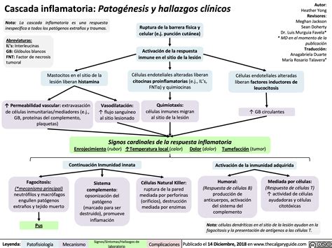 Diagrama de la cascada inflamatoria en sepsis