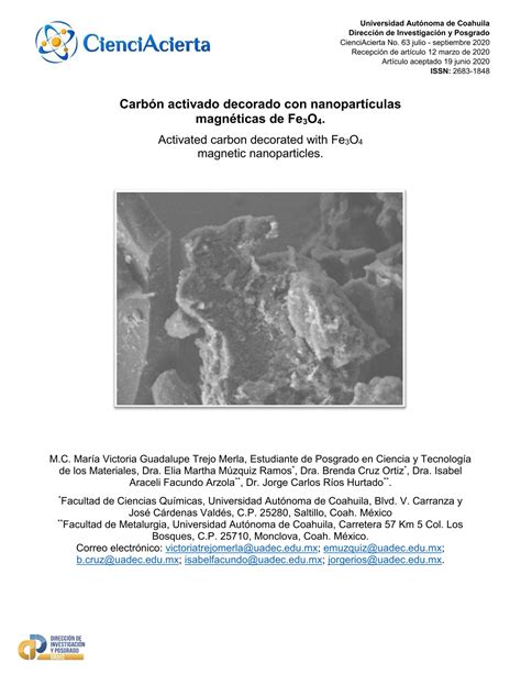 Microscopía electrónica de carbón activado con nanopartículas