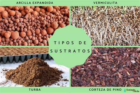 Diferentes tipos de sustratos para acuarios
