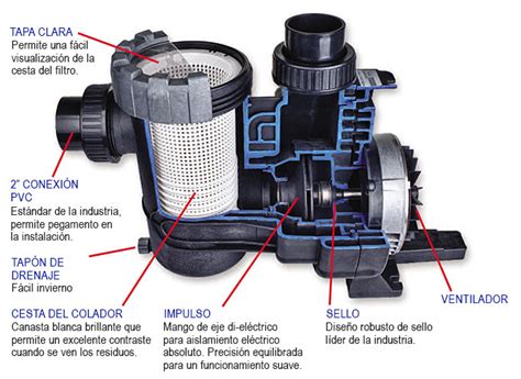 Componentes internos de una bomba de piscina: impulsor