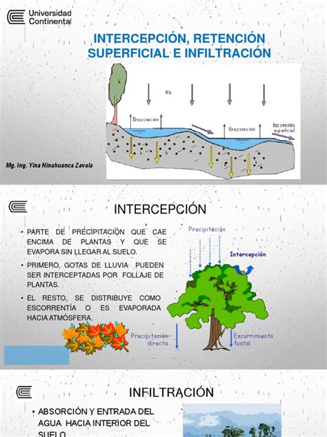 Esquema de los mecanismos de filtración: impactación, intercepción y difusión