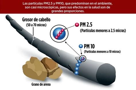 Diagrama de previsión de partículas (PM y polvo del desierto)