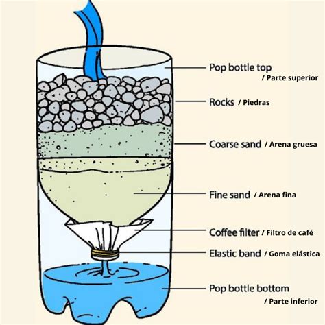 Proceso natural de filtración de agua en la naturaleza