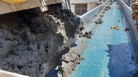 Composición de fangos de depuración