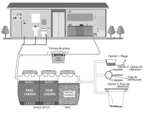 Diagrama de un sistema séptico mostrando la ubicación del filtro de efluentes