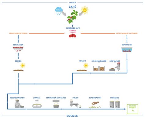 Diagrama del proceso de goteo de café