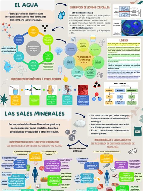 Gráfico comparativo de la contribución de minerales del agua vs. alimentos