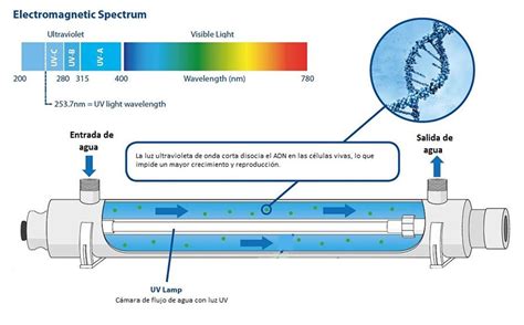 Esquema de un purificador de agua UV