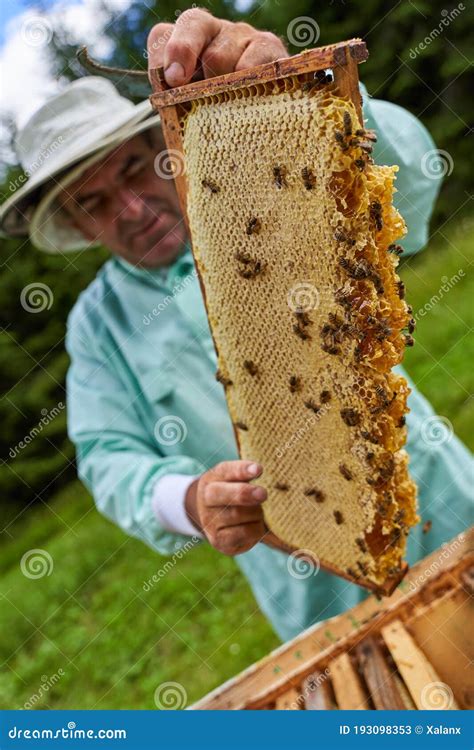 Apicultor extrayendo miel de un panal