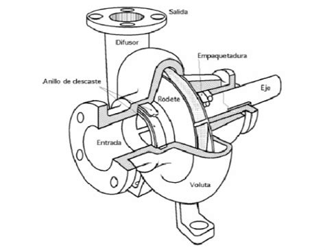 Diagrama del interior de una bomba de piscina mostrando el rodete y el eje