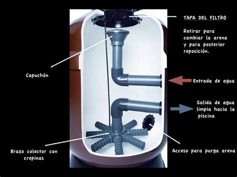 Brazo colector de filtro de piscina