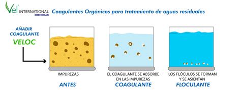 Comparación esquemática de coagulantes y floculantes