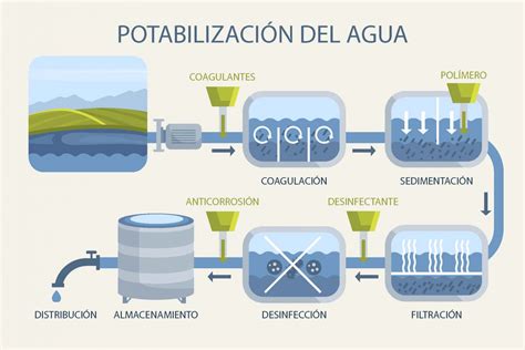Gráfico que muestra el proceso de potabilización de agua con pastillas